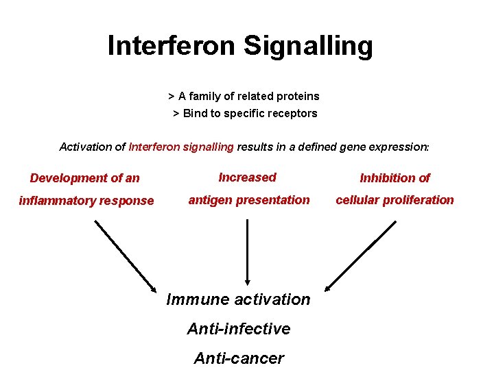 WP 6. 2 Genomics and microbiology Interferon Signalling > A family of related proteins
