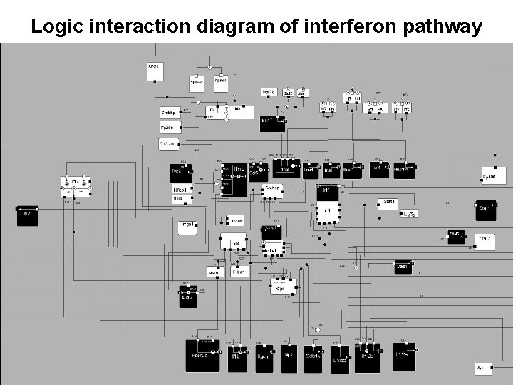 WP 6. 2 interaction Genomics and microbiology Logic diagram of interferon pathway 
