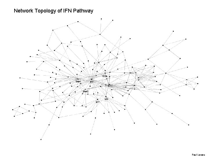 Network Topology of IFN Pathway Ct 2 a Stat 1 Irf 1 Stat 2