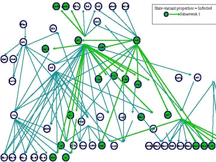 psmb 8 psmb 10 il 12 a bak bcl 2 tnfrsf 6 bcl-xl State-variant