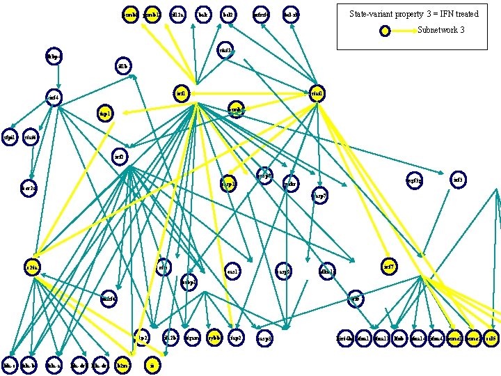 psmb 8 psmb 10 il 12 a bak bcl 2 tnfrsf 6 State-variant property