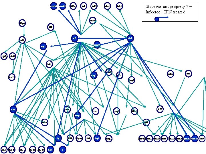 psmb 8 psmb 10 il 12 a bak bcl 2 tnfrsf 6 State variant