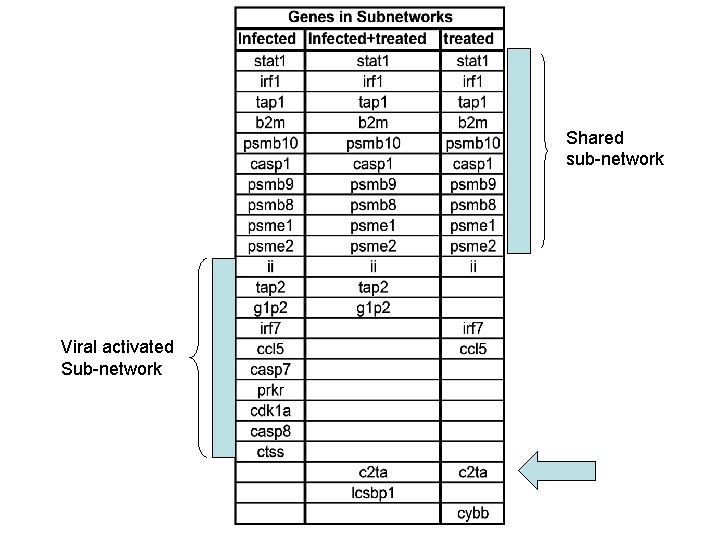 Shared sub-network Viral activated Sub-network 