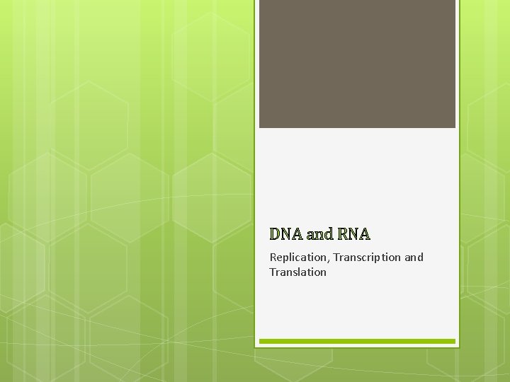 DNA and RNA Replication, Transcription and Translation 