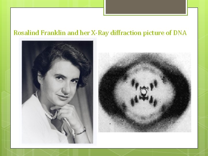 Rosalind Franklin and her X-Ray diffraction picture of DNA Rosalind Franklin and her X-Ray diffraction picture of DNA
