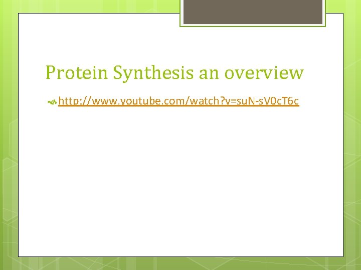 Protein Synthesis an overview http: //www. youtube. com/watch? v=su. N-s. V 0 c. T Protein Synthesis an overview http: //www. youtube. com/watch? v=su. N-s. V 0 c. T