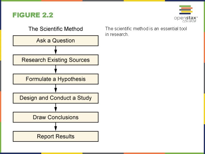 FIGURE 2. 2 The scientific method is an essential tool in research. 