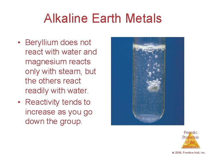 Alkaline Earth Metals • Beryllium does not react with water and magnesium reacts only