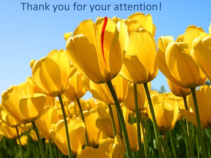 Thank you for your attention! 