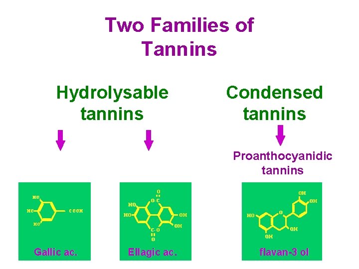 Two Families of Tannins Hydrolysable tannins Gallotannins Condensed tannins Ellagitannins Proanthocyanidic tannins O HO