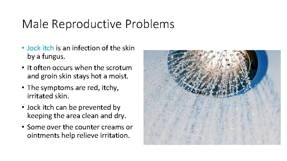 Male Reproductive Problems • Jock itch is an infection of the skin by a