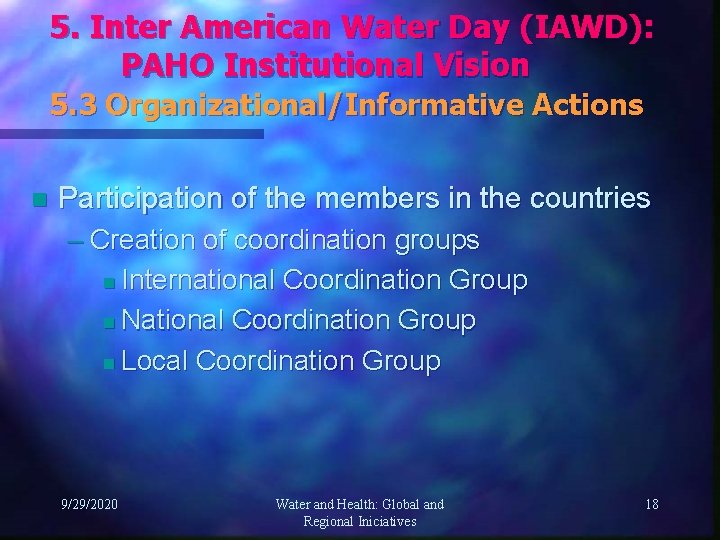 5. Inter American Water Day (IAWD): PAHO Institutional Vision 5. 3 Organizational/Informative Actions n