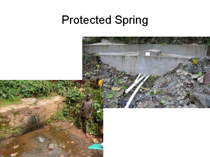 Protected Spring 