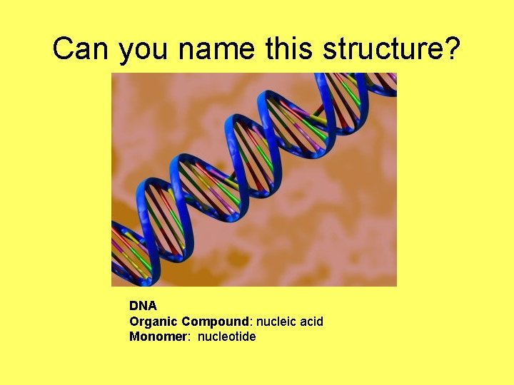 Can you name this structure? DNA Organic Compound: nucleic acid Monomer: nucleotide 