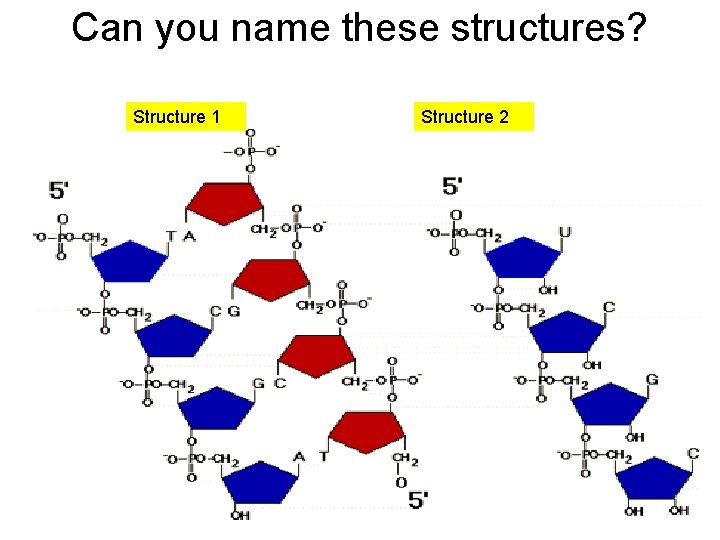 Can you name these structures? Structure 1 Structure 2 