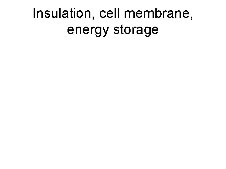 Insulation, cell membrane, energy storage 