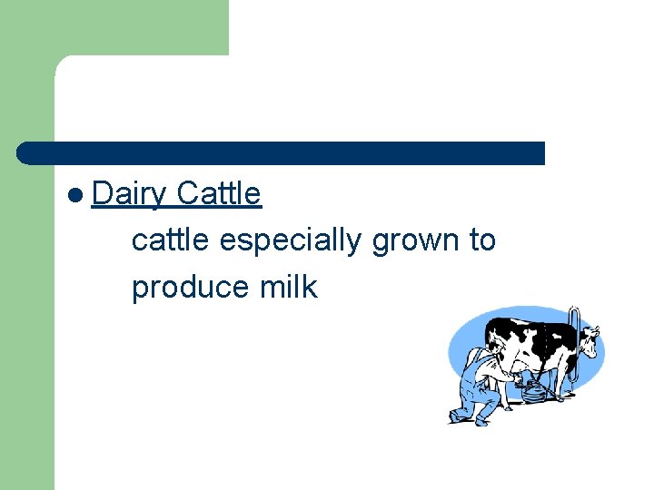 l Dairy Cattle cattle especially grown to produce milk 