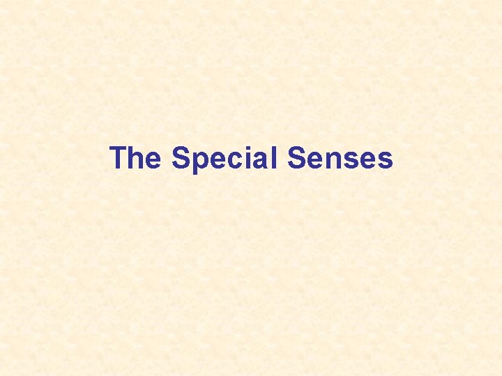 The Special Senses 