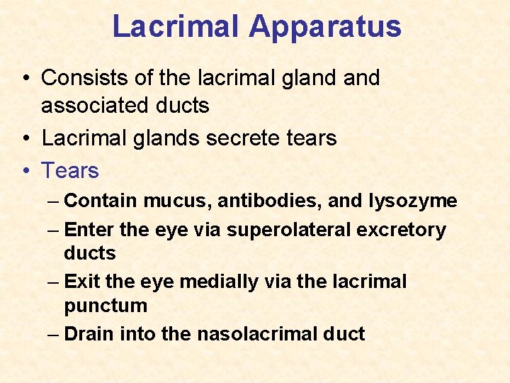 Lacrimal Apparatus • Consists of the lacrimal gland associated ducts • Lacrimal glands secrete