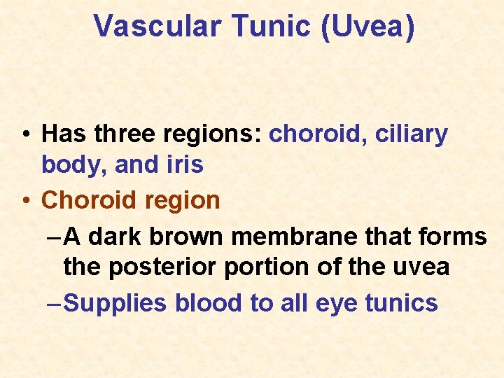 Vascular Tunic (Uvea) • Has three regions: choroid, ciliary body, and iris • Choroid