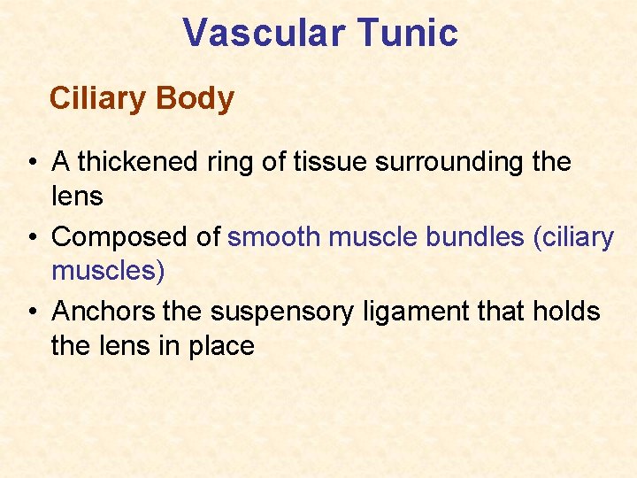 Vascular Tunic Ciliary Body • A thickened ring of tissue surrounding the lens •