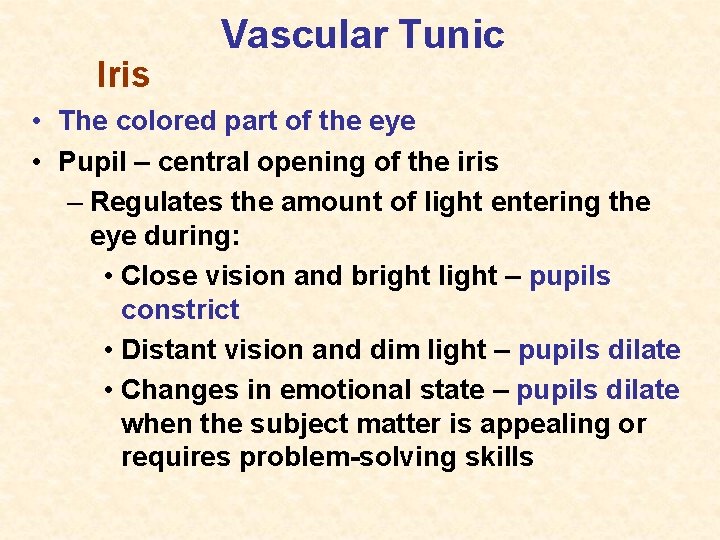 Iris Vascular Tunic • The colored part of the eye • Pupil – central