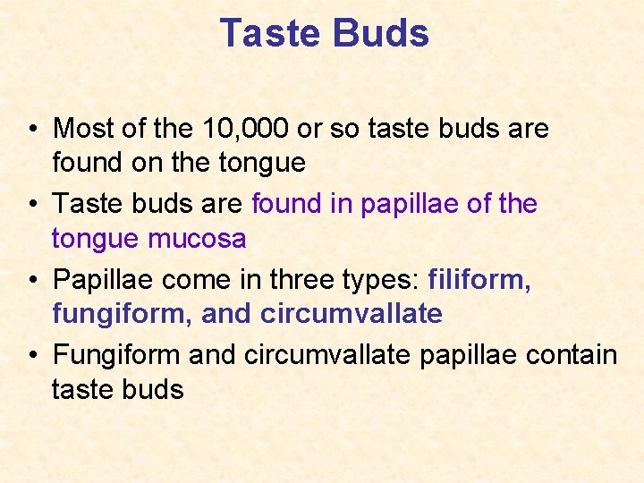 Taste Buds • Most of the 10, 000 or so taste buds are found