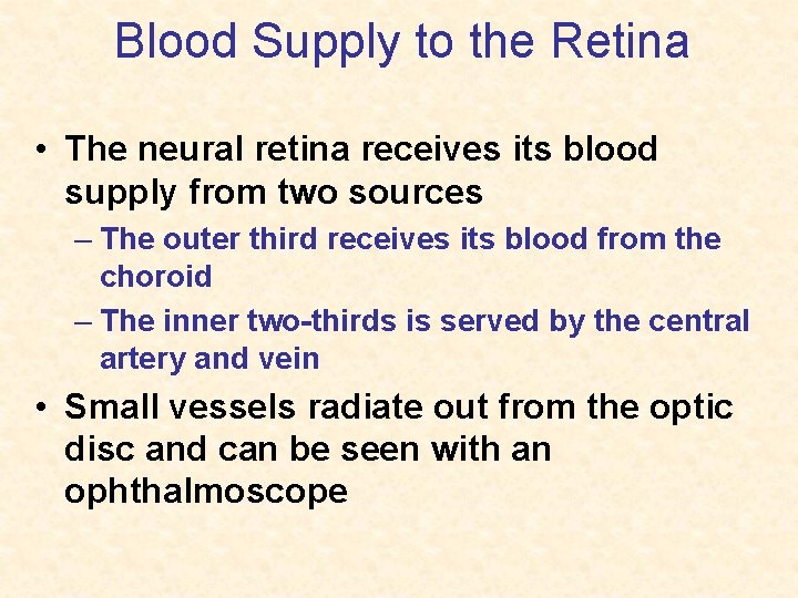 Blood Supply to the Retina • The neural retina receives its blood supply from