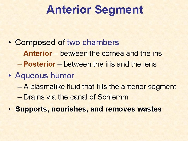 Anterior Segment • Composed of two chambers – Anterior – between the cornea and