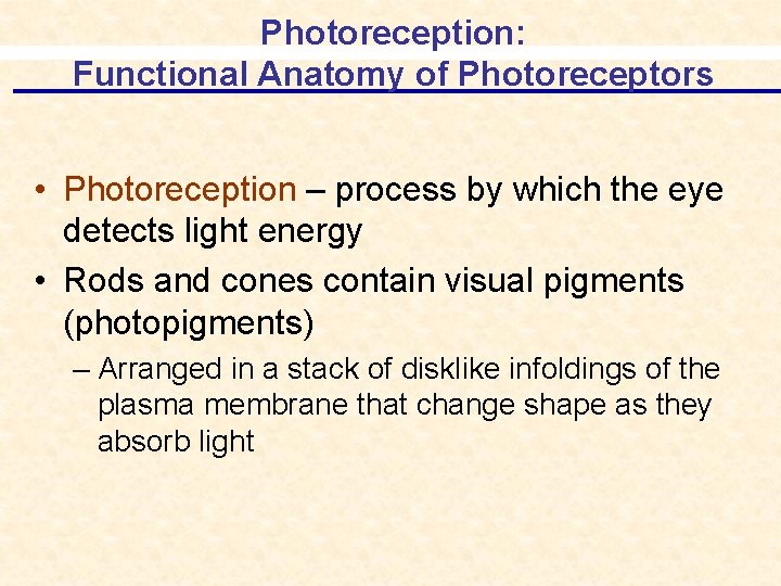 Photoreception: Functional Anatomy of Photoreceptors • Photoreception – process by which the eye detects