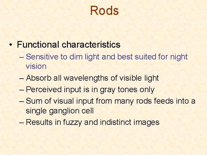 Rods • Functional characteristics – Sensitive to dim light and best suited for night