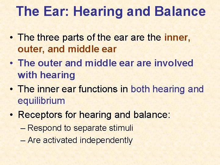 The Ear: Hearing and Balance • The three parts of the ear are the