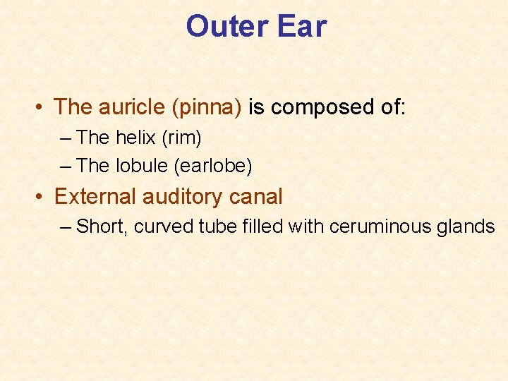 Outer Ear • The auricle (pinna) is composed of: – The helix (rim) –