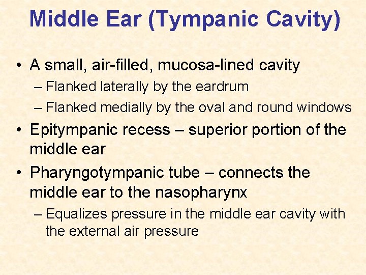 Middle Ear (Tympanic Cavity) • A small, air-filled, mucosa-lined cavity – Flanked laterally by