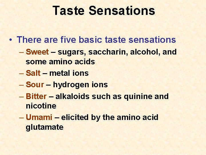 Taste Sensations • There are five basic taste sensations – Sweet – sugars, saccharin,
