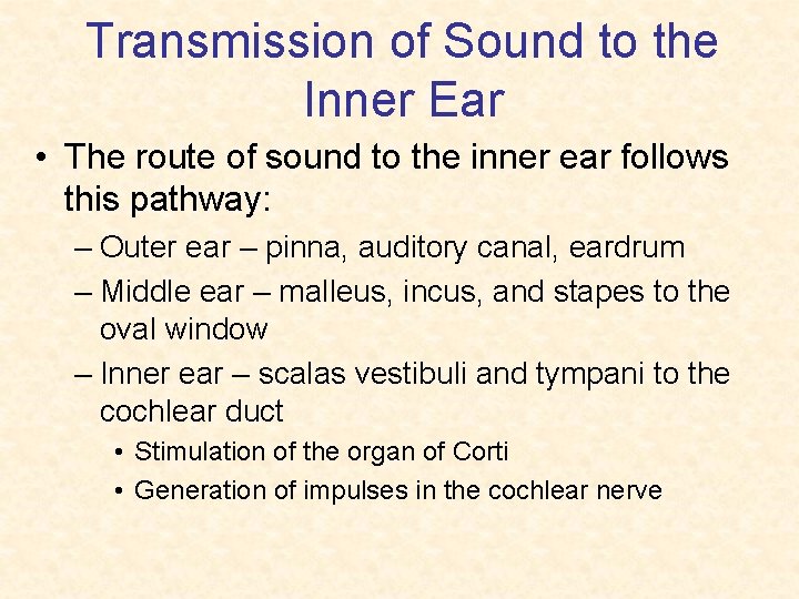 Transmission of Sound to the Inner Ear • The route of sound to the