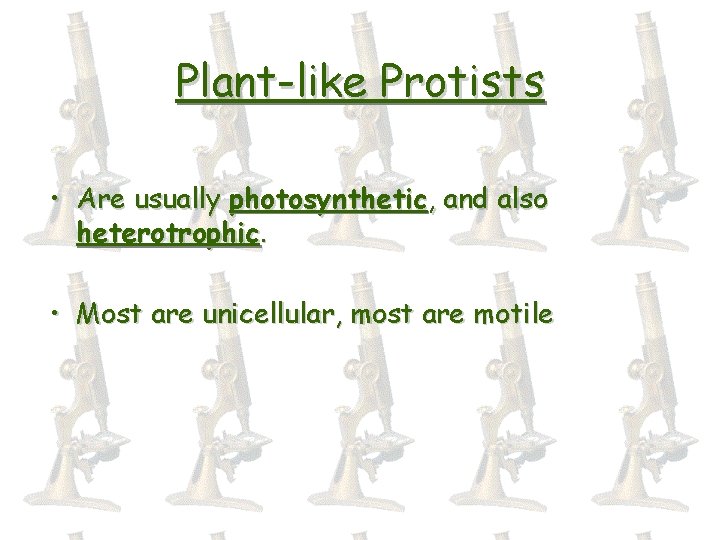 Plant-like Protists • Are usually photosynthetic, and also heterotrophic. • Most are unicellular, most