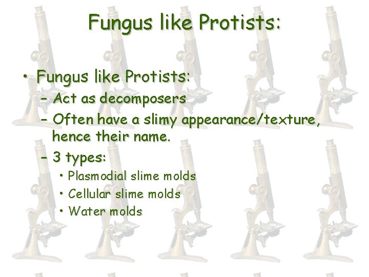 Fungus like Protists: • Fungus like Protists: – Act as decomposers – Often have
