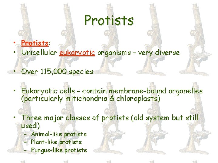 Protists • Protists: • Unicellular eukaryotic organisms – very diverse • Over 115, 000