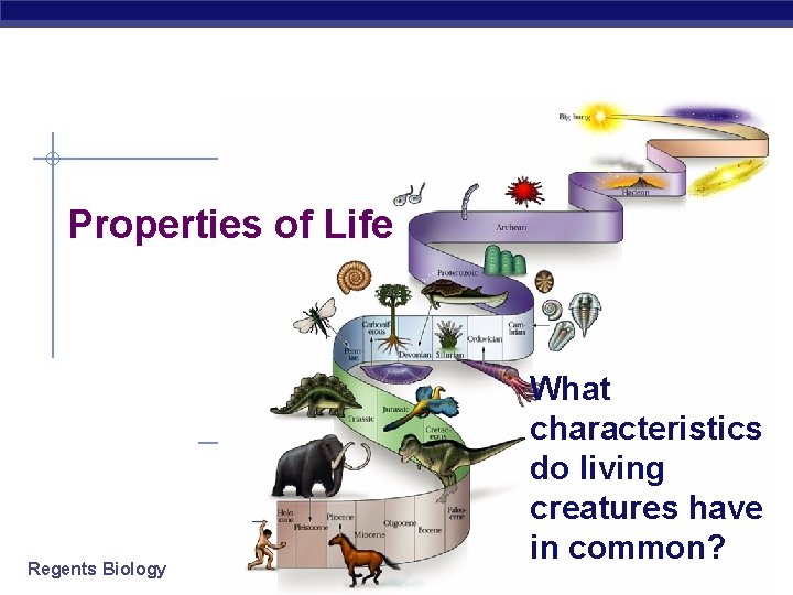 Properties of Life Regents Biology What characteristics do living creatures have in common? 2007