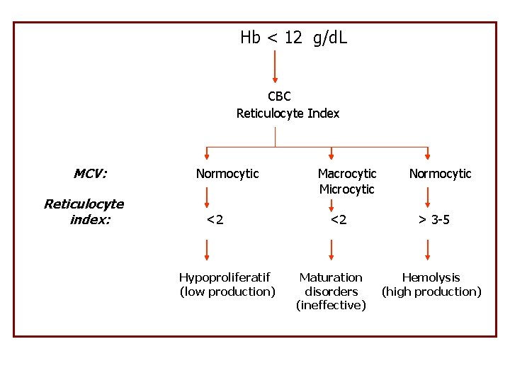 Hb < 12 g/d. L CBC Reticulocyte Index MCV: Reticulocyte index: Normocytic <2 Hypoproliferatif