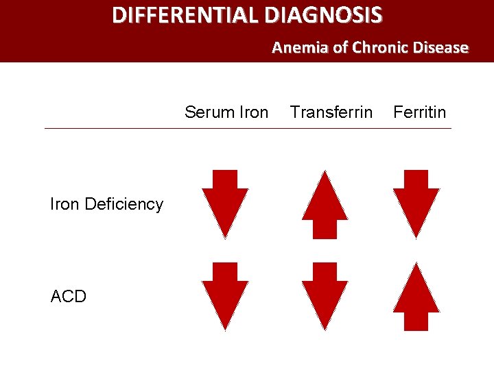 DIFFERENTIAL DIAGNOSIS Anemia of Chronic Disease Serum Iron Deficiency ACD Transferrin Ferritin 