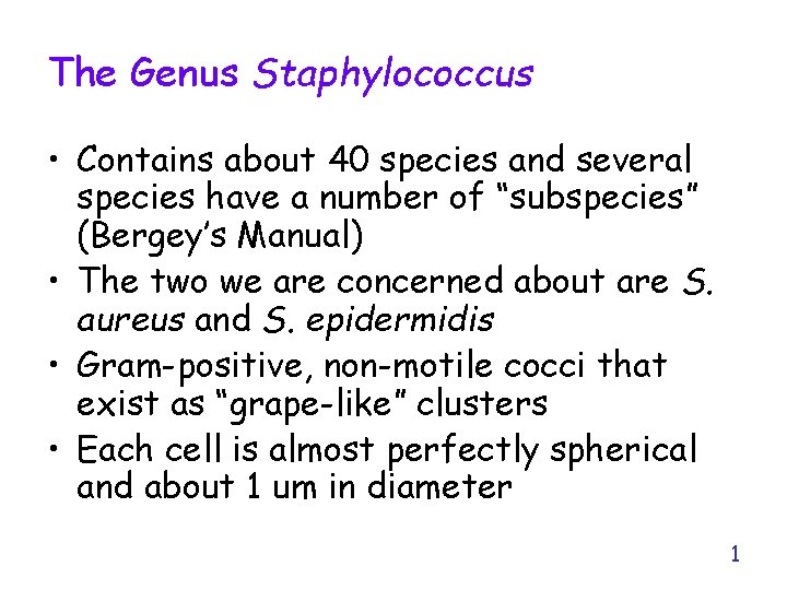 The Genus Staphylococcus • Contains about 40 species and several species have a number
