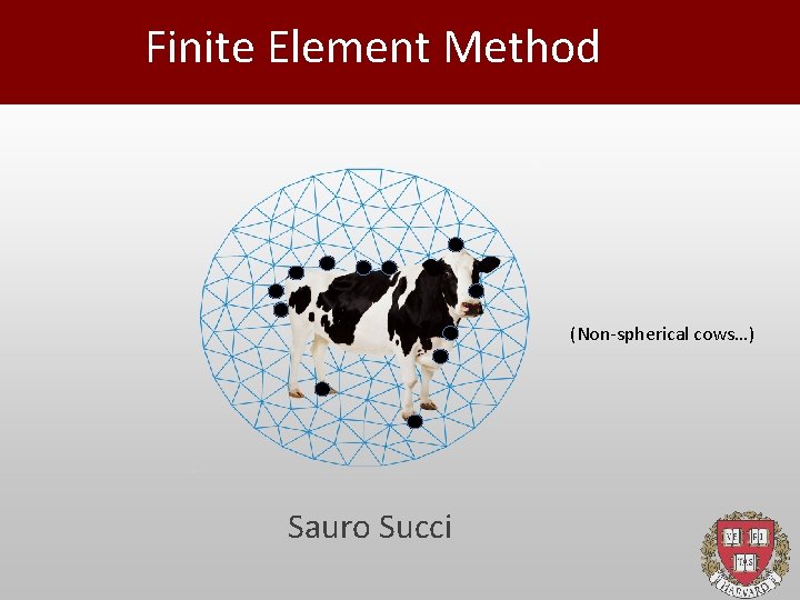 Finite Element Method (Non-spherical cows…) Sauro Succi 