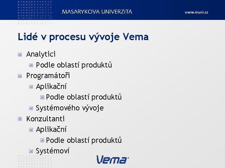 Lidé v procesu vývoje Vema Analytici Podle oblastí produktů Programátoři Aplikační Podle oblastí produktů