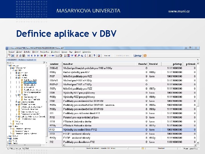 Definice aplikace v DBV 