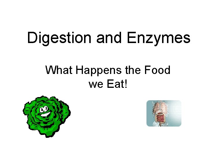 Digestion and Enzymes What Happens the Food we