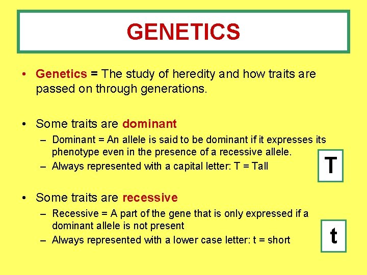 GENETICS • Genetics = The study of heredity and how traits are passed on