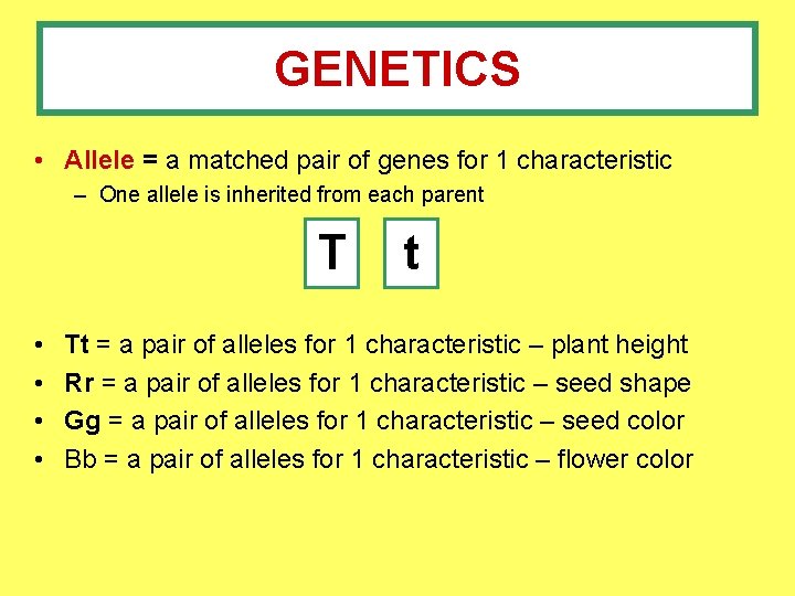 GENETICS • Allele = a matched pair of genes for 1 characteristic – One