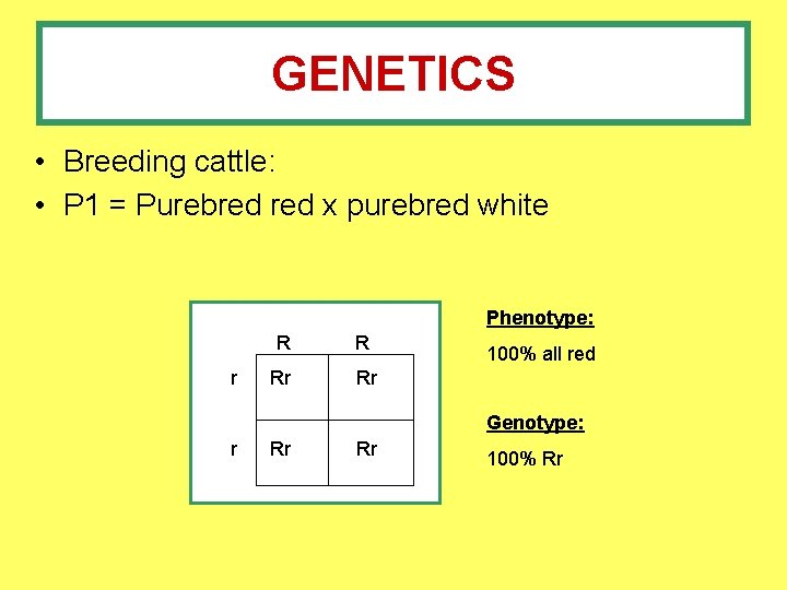 GENETICS • Breeding cattle: • P 1 = Purebred x purebred white Phenotype: R